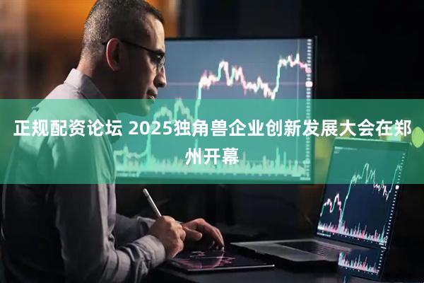 正规配资论坛 2025独角兽企业创新发展大会在郑州开幕