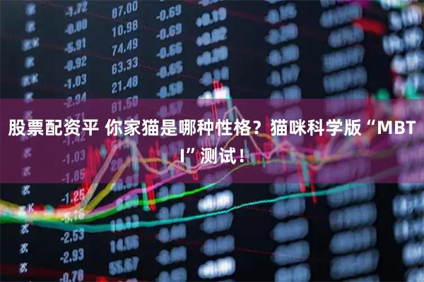股票配资平 你家猫是哪种性格？猫咪科学版“MBTI”测试！