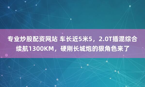 专业炒股配资网站 车长近5米5，2.0T插混综合续航1300KM，硬刚长城炮的狠角色来了